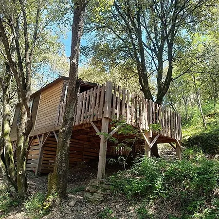 Sejour Nature & Insolite A Saint Andre De Majencoules 营地