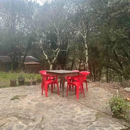 Sejour Nature & Insolite A Saint Andre De Majencoules 叙梅恩